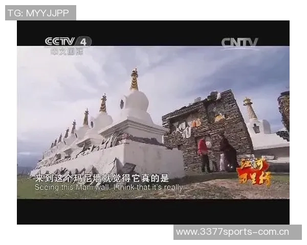CCTV113深度解析社会热点事件引发的公众关注与讨论